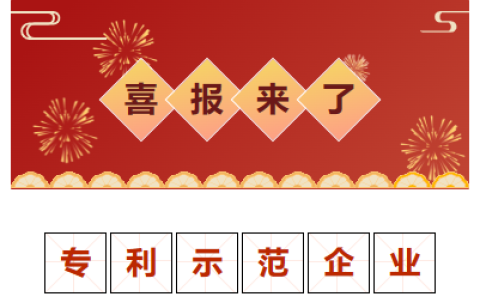 喜報！金華市專利示范企業(yè)！